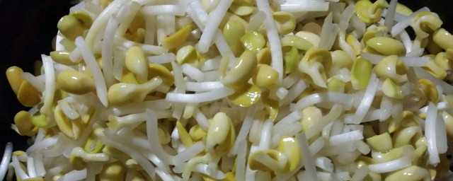 黄豆芽怎样保存 黄豆芽怎样保存