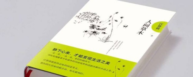 人间草木经典语录 关于人间草木里的感人经典句子