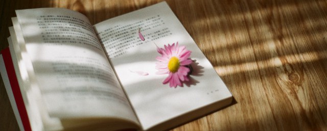 张爱玲描写上海的句子 有哪些描写的句子