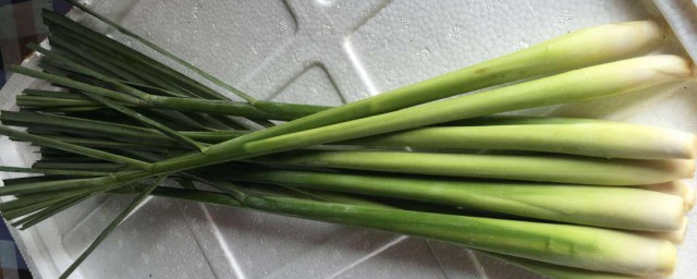 新鲜香茅怎样保存 怎样保存新鲜香茅
