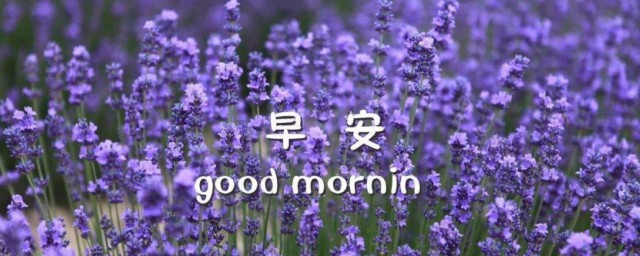 很温馨的早安问候短语 很温馨的早安问候短语分享