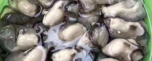 贝壳肉制作技巧 大贝壳肉简单做法