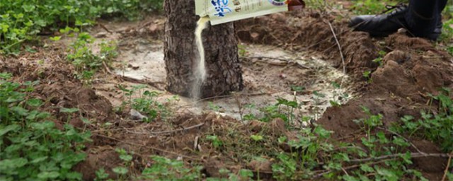 生根粉的使用要领 生根粉怎么使用