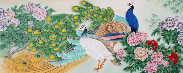 家里摆放孔雀的忌讳 会有什么作用呢