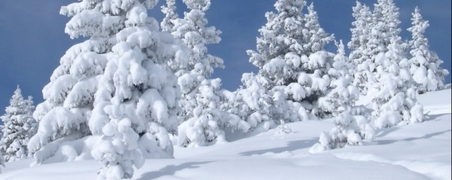 第一场雪如何发说说 第一场雪有哪些心情说说