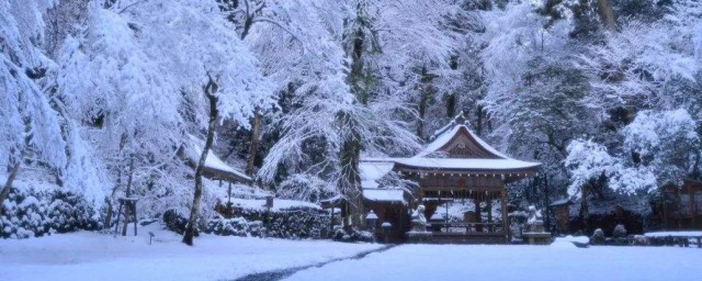 下雪适合发的朋友圈 适合下雪发朋友圈的文