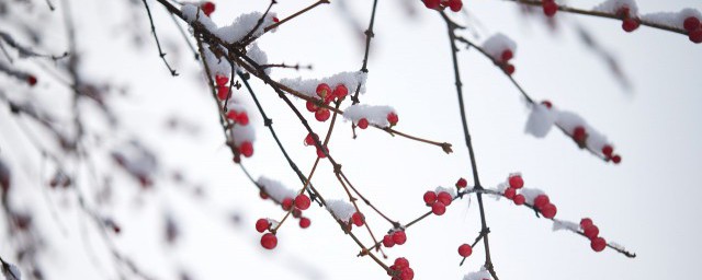 第一场雪发朋友圈配一句话 第一场雪的朋友圈文案