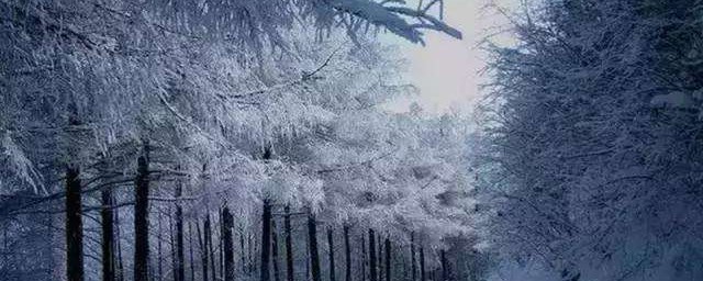 冬天第一场雪伤感文案 关于初雪的文案