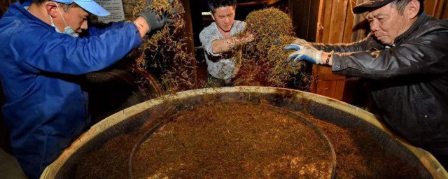 红茶的制作技巧 红茶的制作技巧分享