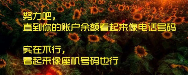 心灵鸡汤经典励志语录 心灵鸡汤经典励志语录分享