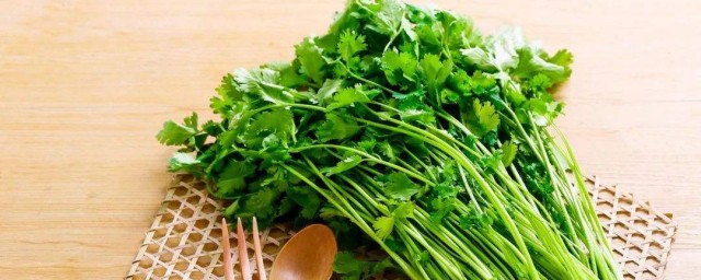 香菜减肥的最快技巧 有什么功效呢