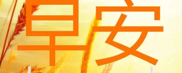 迎接美好的一天句子 迎接美好的一天句子分享
