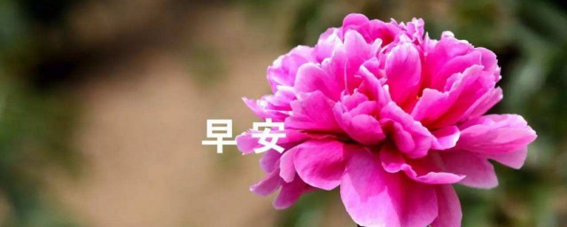 激励早起的年轻人的话 激励早起的年轻人的话分享