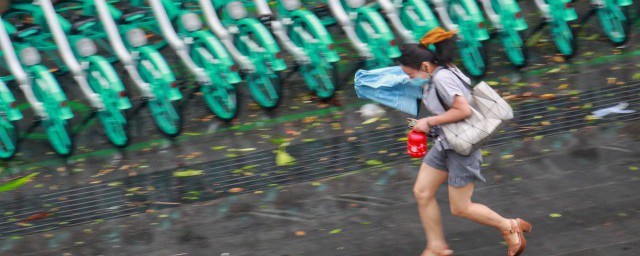 雨后的清晨励志的句子 有什么雨后的清晨励志说说