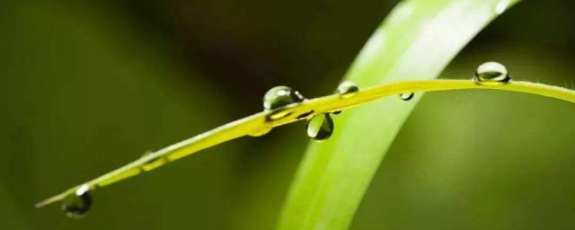 形容秋雨的句子 关于形容秋雨的句子