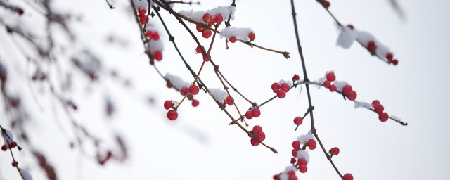 第一场雪的幽默说说 需要如何表示下雪的好