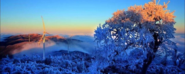 冬季的第一场雪作文 冬季的第一场雪范文欣赏