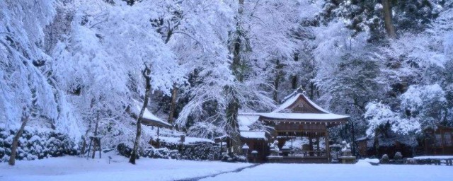 冬天第一场雪的心情 冬天第一场雪心情说说短语