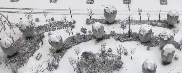 瑞雪兆丰年的瑞是什么意思 瑞雪兆丰年的瑞意思是什么