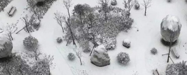 瑞雪的瑞是什么意思 瑞雪的瑞意思是什么
