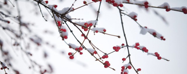 初雪的说说心情短语 关于初雪的心情短语