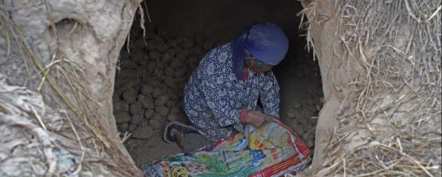 挖地窖最简单的技巧 挖地窖最简单的技巧简介