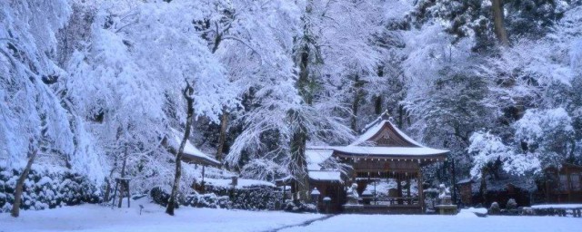 冬天第一场雪的朋友圈 冬天第一场雪的朋友圈说说文案