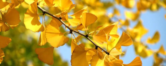 再见11月你好12月的说说 再见11月你好12月的说说有哪些