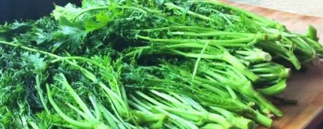 雪里红怎样做好吃 雪里红好吃的做法