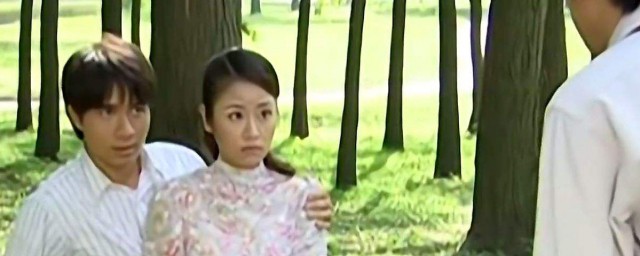 何书桓经典语录 何书桓经典语录精选