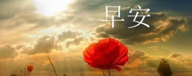 感恩早安经典语录 感恩早安的句子