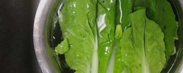 青菜怎样洗干净 刚买的青菜怎样洗