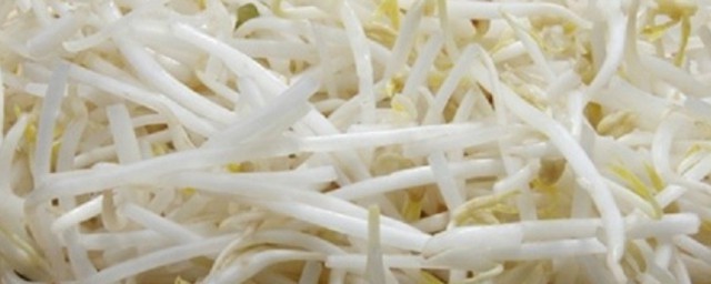 绿豆芽怎样种 绿豆芽的种植技巧