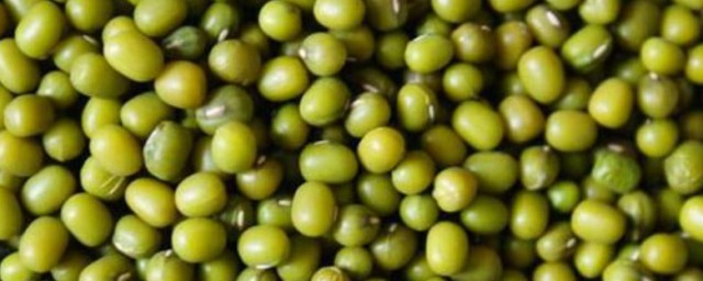绿豆的种植技巧 绿豆怎样种植