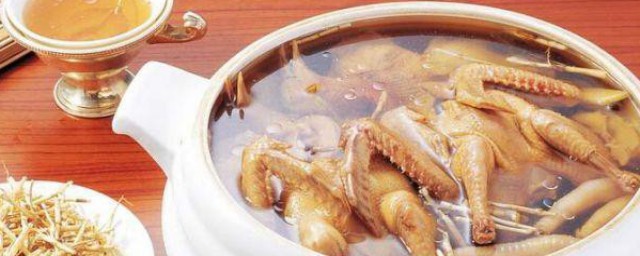 怎样做乳鸽汤 乳鸽汤的做法
