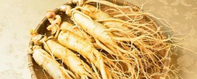 高级人参食用技巧 有什么食用技巧