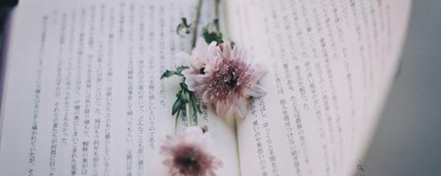 幅字组词 幅字组词简介
