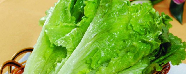 生菜如何洗才干净 这样洗才会洗干净