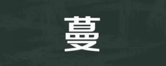 蔓多音字组词 蔓多音字组词有哪些