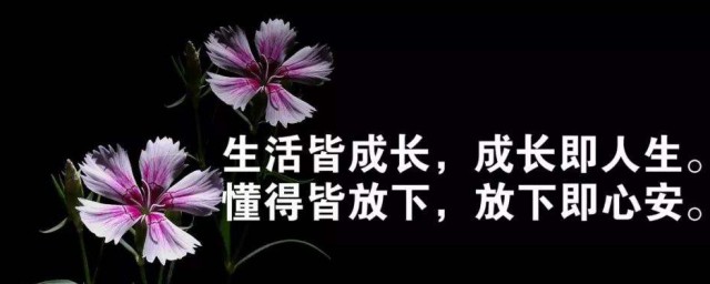 落难了方知人心的句子 落难了方知人心的句子有哪些
