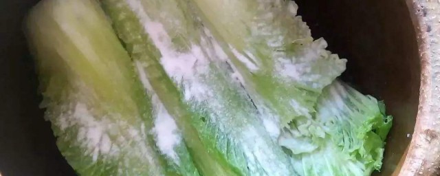 白咸菜腌制技巧 白菜咸菜的家常做法