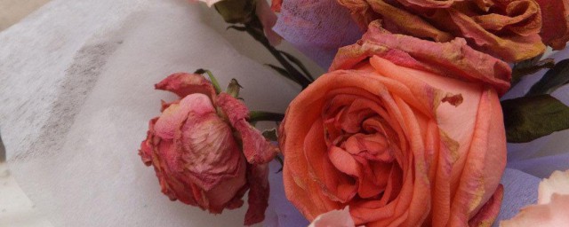 买回来的干花如何保存 如何保存买回来的干花