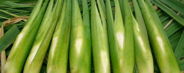 新鲜茭白怎么保存 新鲜茭白怎么保存