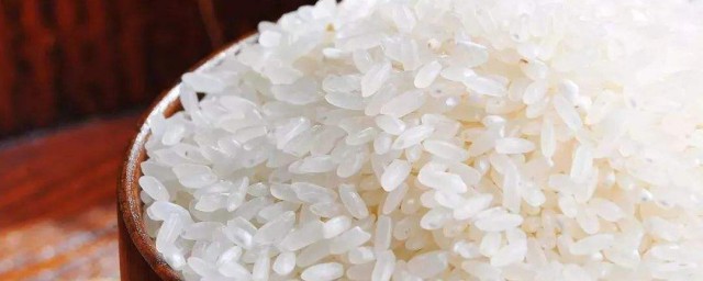 流食白粥做法 流食白粥做法简述