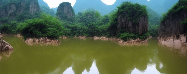 泡黄山毛峰水温