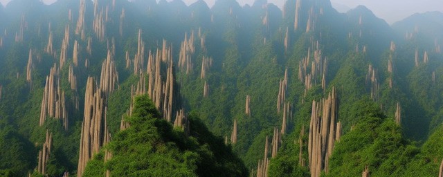 黄山毛峰的牌子