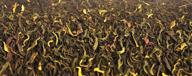 庐山云雾茶的价格