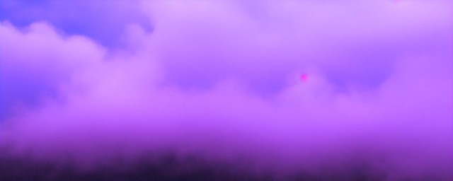 紫芽云雾