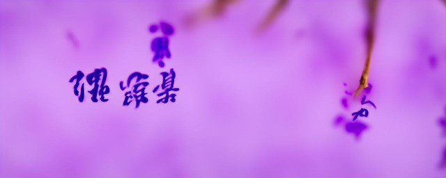 有紫罗兰寓意的中文名字