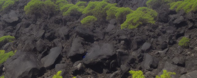 泰山墨玉原石如何保养
